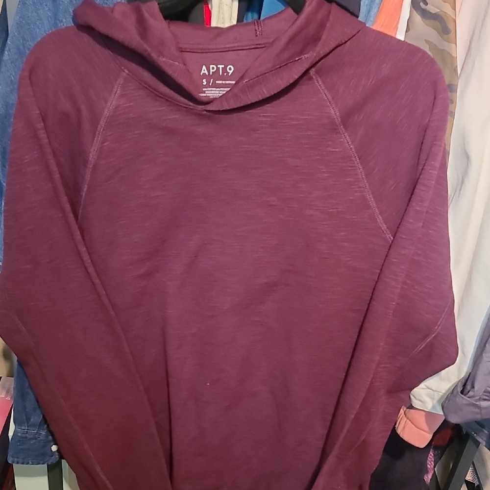 Bundle Special** 2-- Apt. 9 Men's Maroon & Olive Green Hoodie